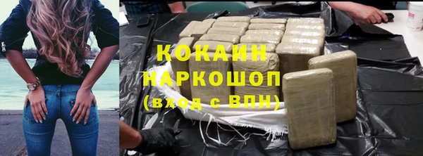 PSILOCYBIN Навашино